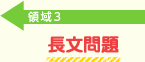 領域3：長文問題
